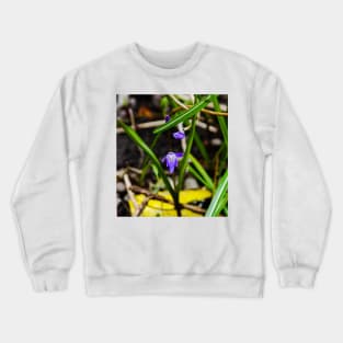 Hidden Blue Gems Crewneck Sweatshirt